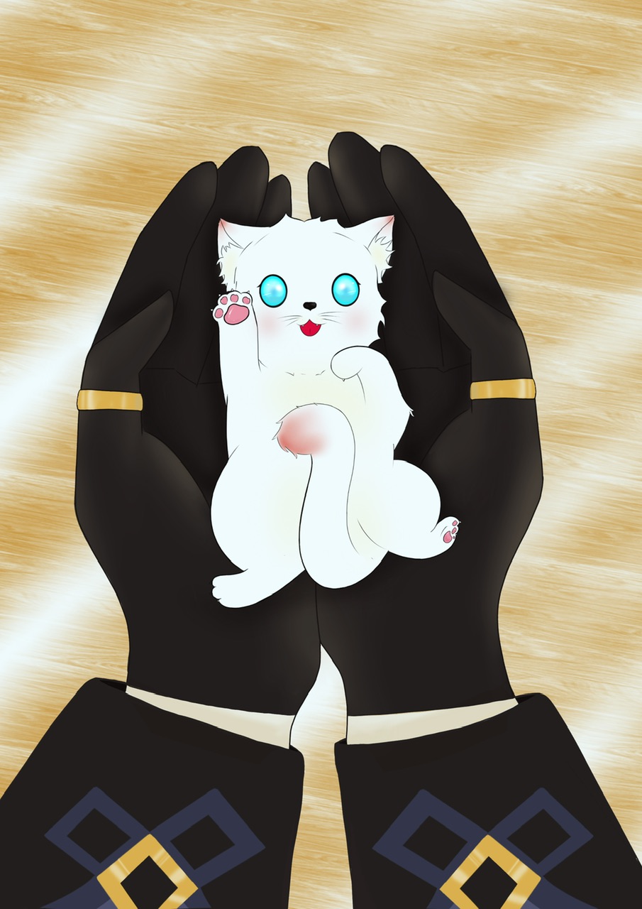 【原神】今天猫猫也在努力生存