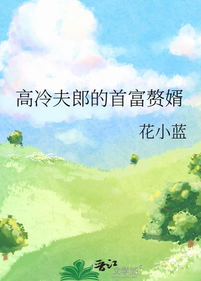 高冷夫郎的首富赘婿
