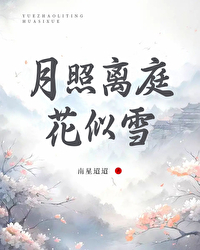 月照离庭花似雪[破镜重圆]