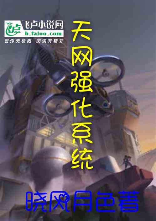 天网强化系统