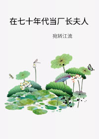 在七十年代当厂长夫人